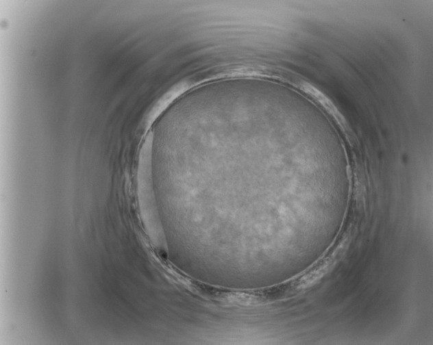 X0000085251097200703231643