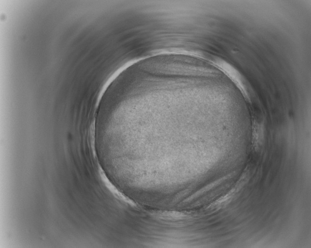 X0000085251100200703231643