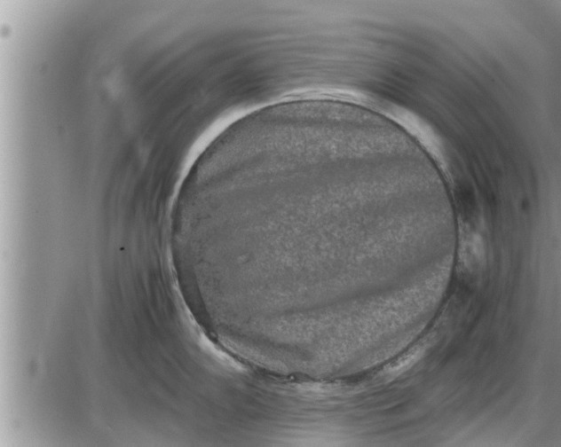 X0000085251102200703231643