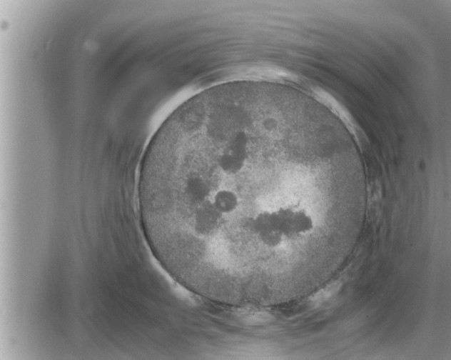 X0000085251103200703231643