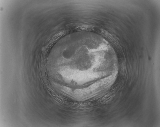 X0000085251105200703231642