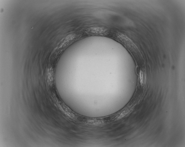 X0000085251107200703231642