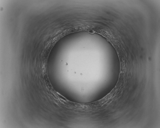 X0000085251109200703231642