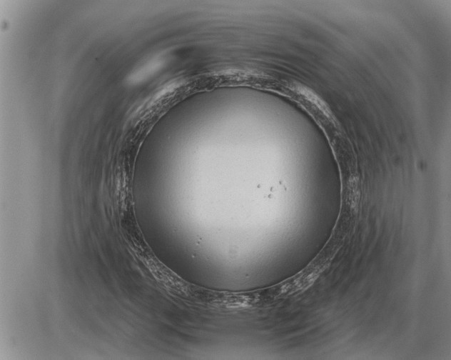 X0000085251111200703231642