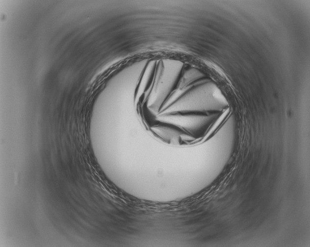 X0000085251112200703231643