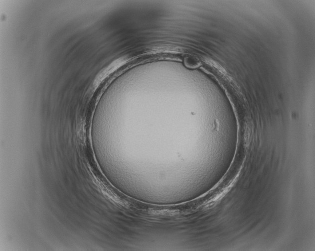 X0000085251113200703231643