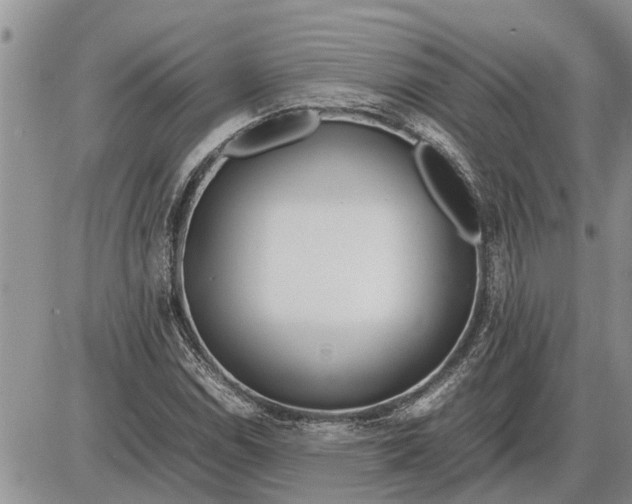 X0000085251114200703231643