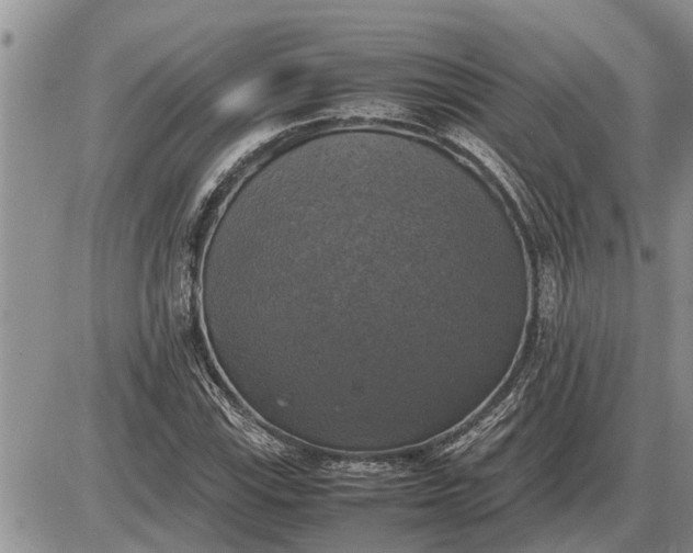 X0000085251115200703231643