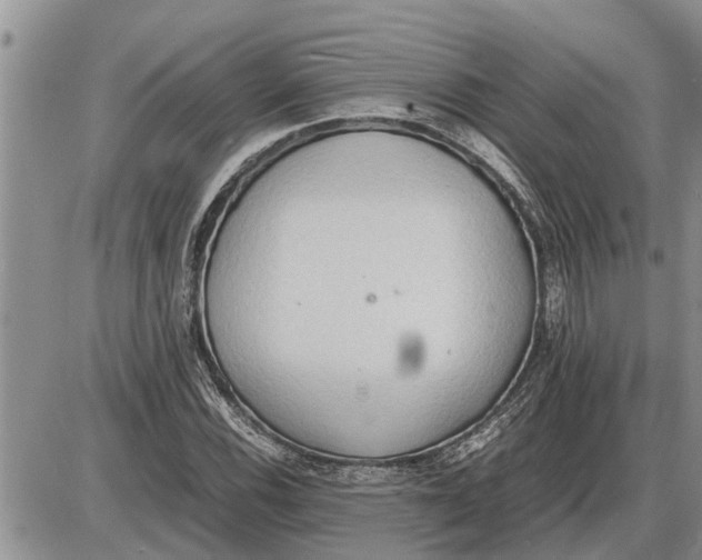 X0000085251116200703231643