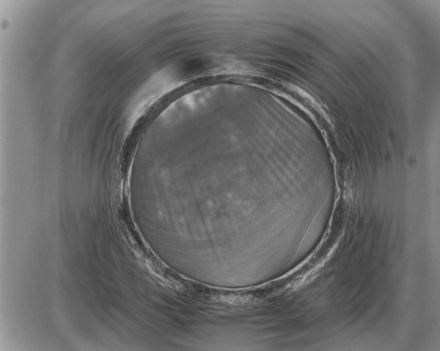 X0000085251117200703231643