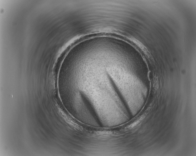 X0000085251118200703231643