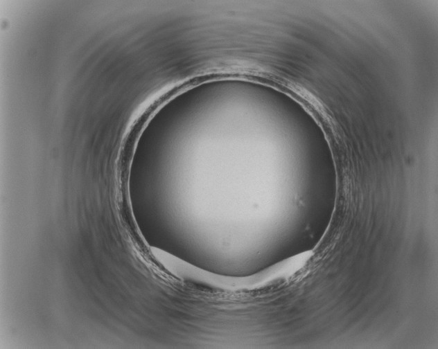 X0000085251120200703231643