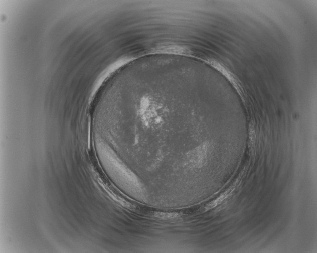 X0000085251123200703231643