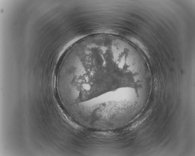 X0000085251125200703231643