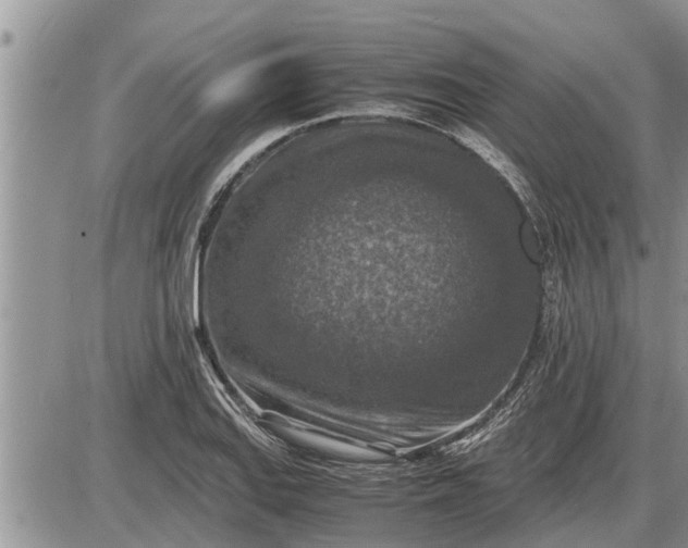 X0000085251127200703231643