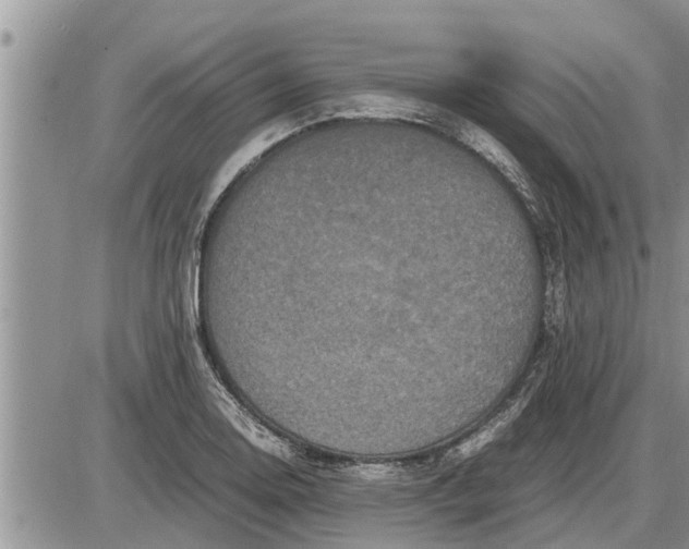 X0000085251130200703231643