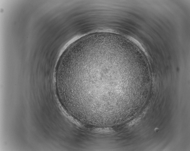 X0000085251133200703231643