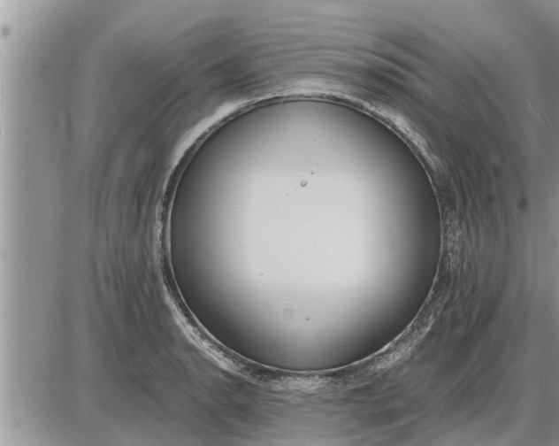 X0000085251134200703231643