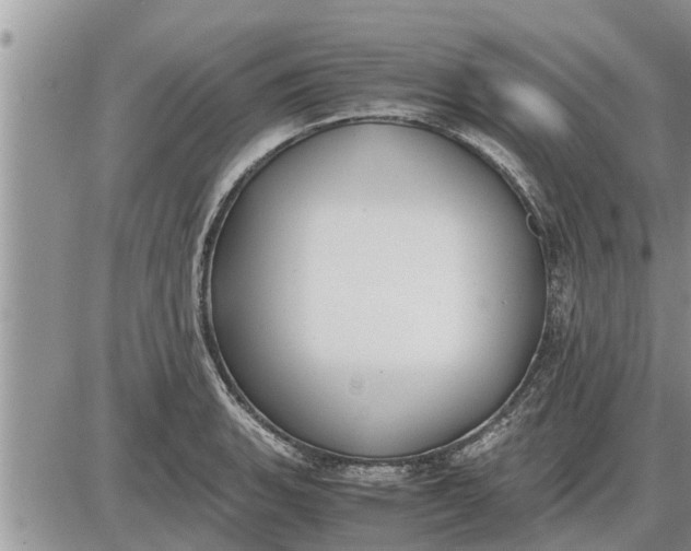 X0000085251135200703231643