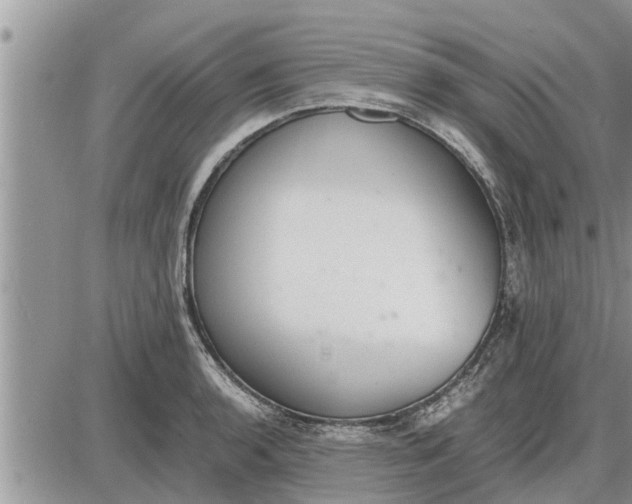 X0000085251136200703231643