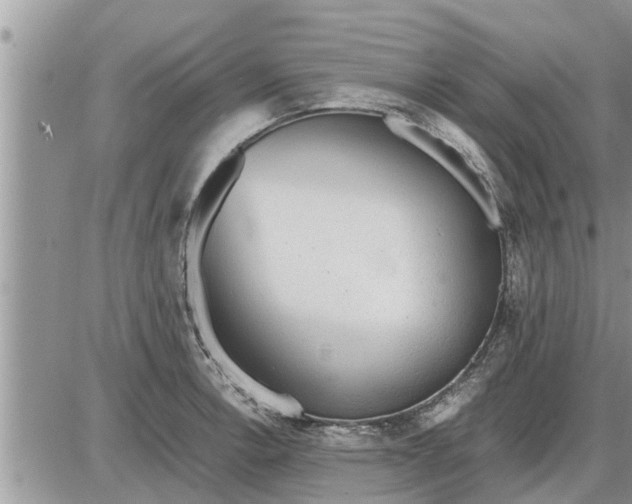 X0000085251138200703231643