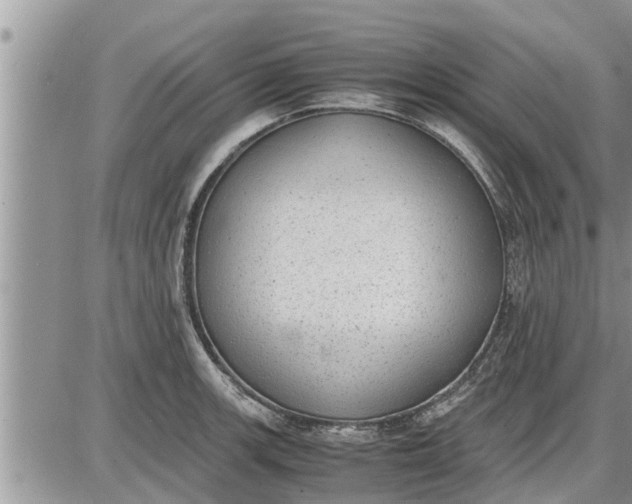 X0000085251139200703231643