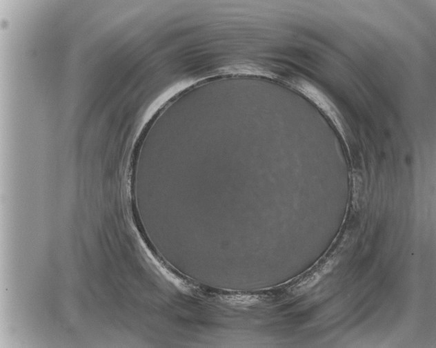 X0000085251141200703231643