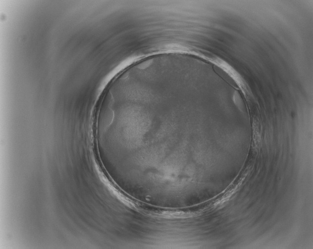 X0000085251142200703231643