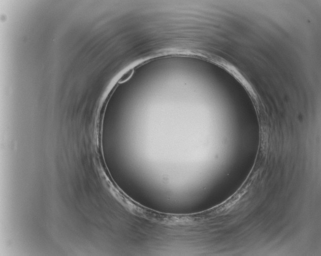 X0000085251148200703231643