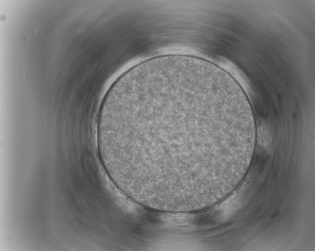 X0000085251150200703231643