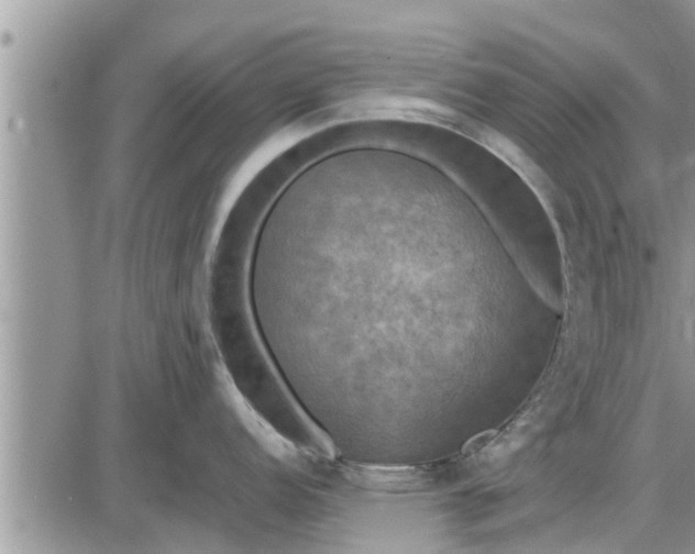 X0000085251152200703231643