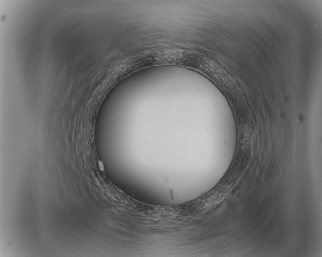 X0000085251153200703231642