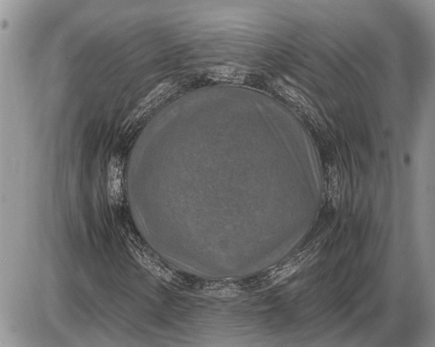 X0000085251154200703231642