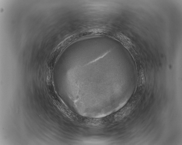 X0000085251158200703231642