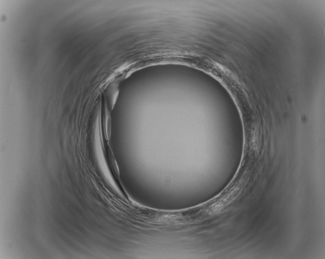 X0000085251161200703231642