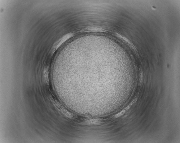 X0000085251162200703231642