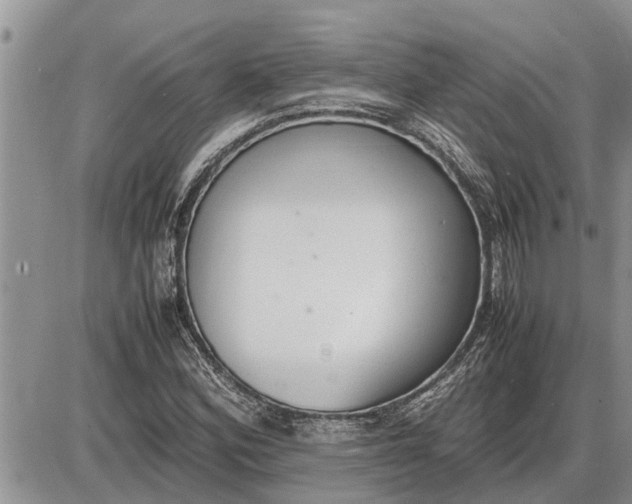 X0000085251164200703231642