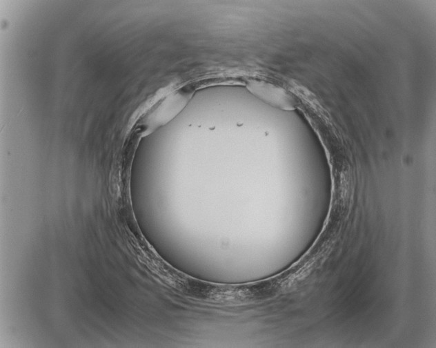 X0000085251165200703231642