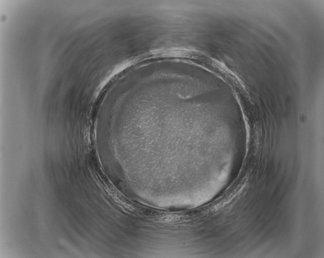 X0000085251166200703231642