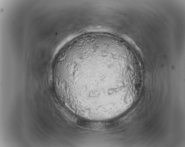 X0000085251167200703231642