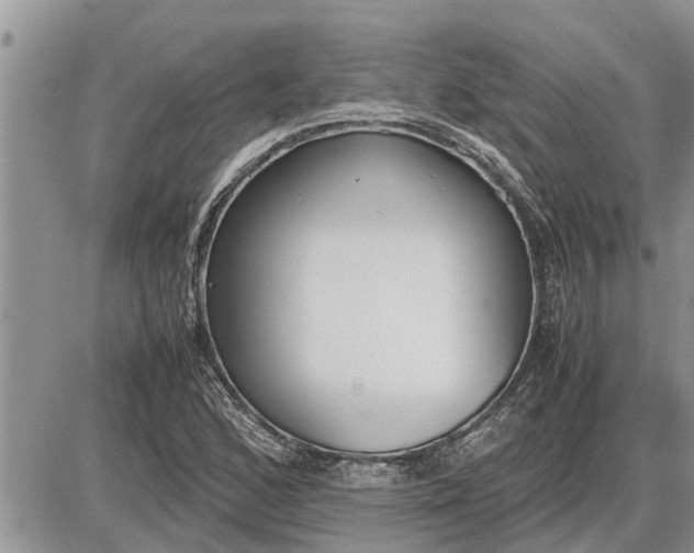 X0000085251168200703231642