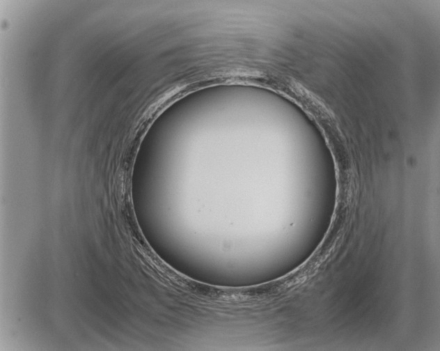 X0000085251169200703231642