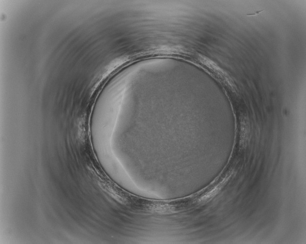 X0000085251170200703231642