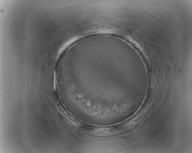 X0000085251171200703231642