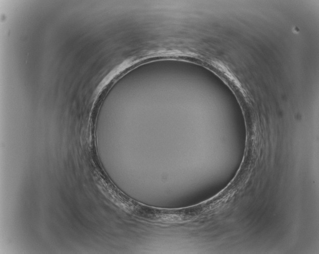 X0000085251173200703231642