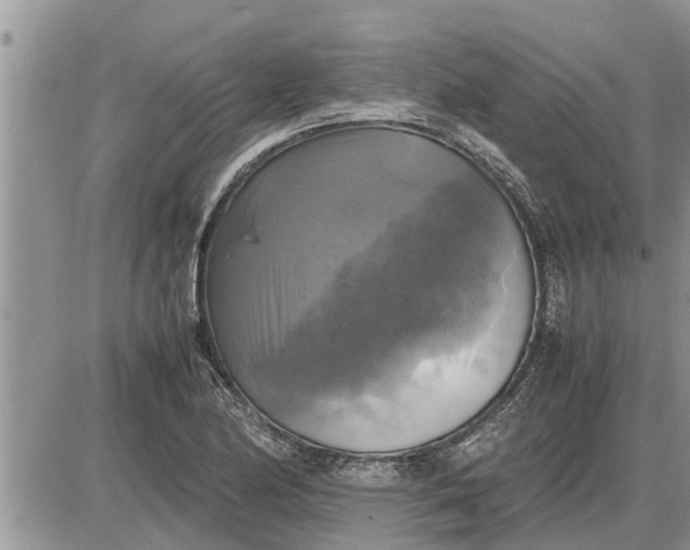 X0000085251174200703231642