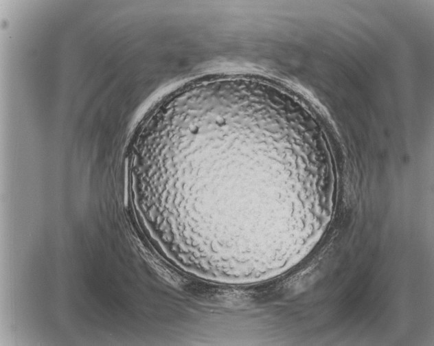 X0000085251175200703231642