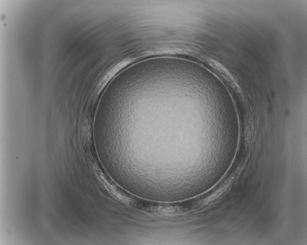 X0000085251177200703231642