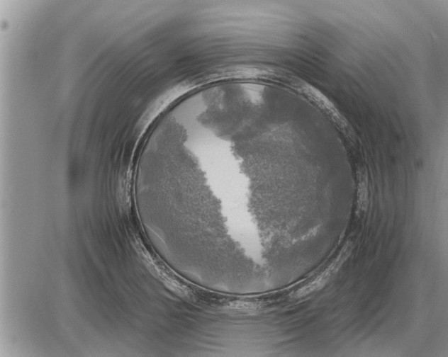 X0000085251178200703231642