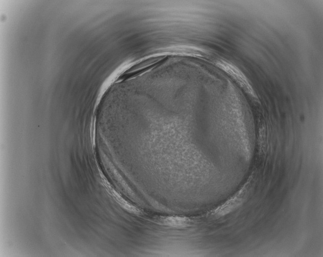 X0000085251180200703231642